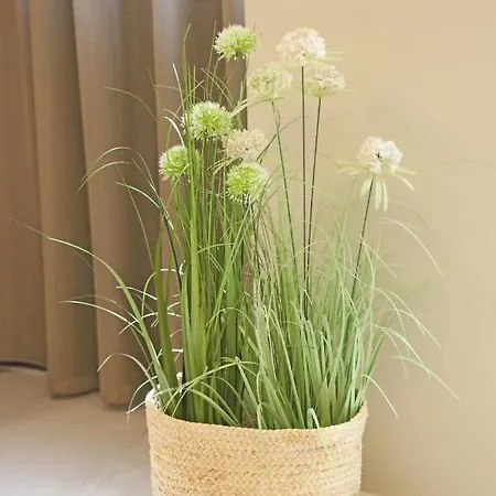 Appartamento One Syros Ermoupoli