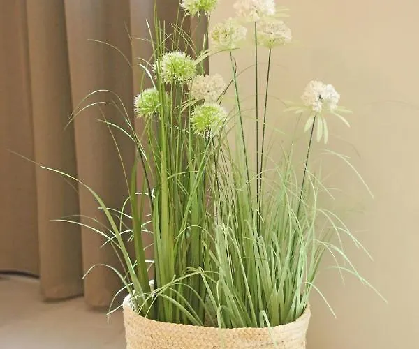 Lejlighed One Syros Ermoupoli